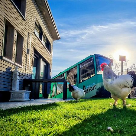 Exklusives Holzhaus Mit Bergbahn - Baden-Baden Im Schwarzwald Villa Екстериор снимка