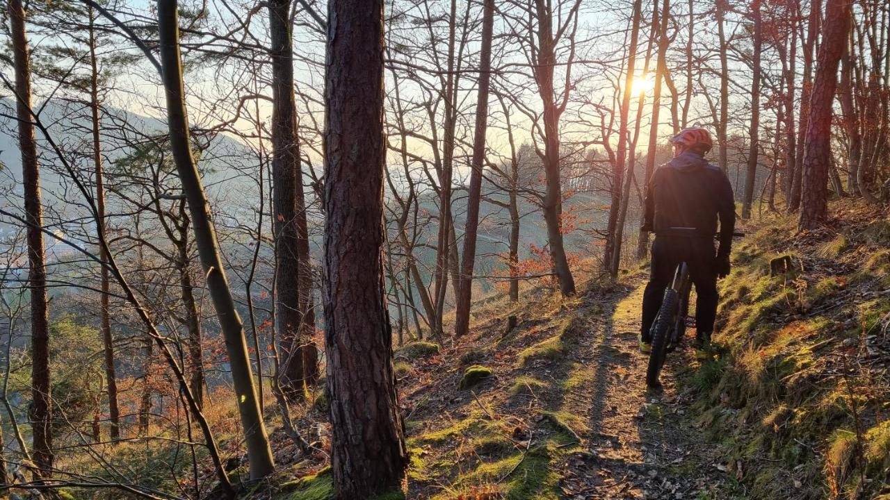 Exklusives Holzhaus Mit Bergbahn - Baden-Baden Im Schwarzwald Villa Екстериор снимка